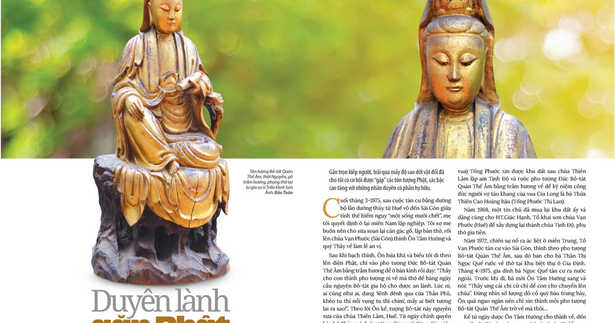 Duyên Lành Gặp Phật| Giác Ngộ Online