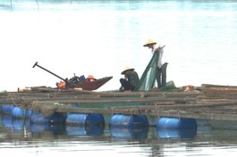 Hình chỉ mang tính minh họa