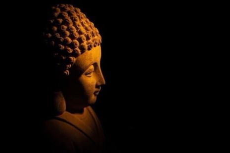 Quả báo của nghiệp