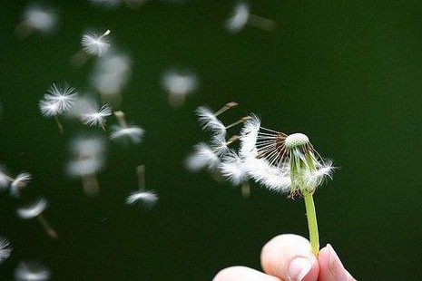 Ý tạo ác nghiệp đưa đến quả báo khổ