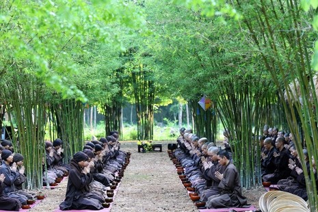 Ảnh Làng Mai