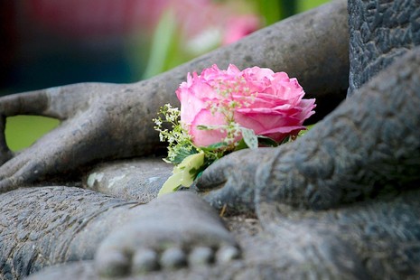 Dù cho tu học theo bất cứ tông phái, hệ phái hoặc dòng truyền thừa nào, Giới-Định-Tuệ vẫn là xương sống, là điểm quy chiếu của Chánh pháp