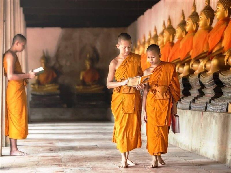 Đừng nên chỉ nói suông mà hãy chiêm nghiệm