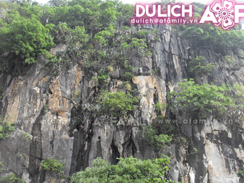 Đến ngọn núi cao nhất dãy Ngũ Hành ảnh 2