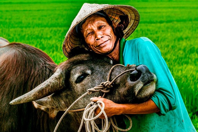 Ngắm chùm ảnh “Việt Nam muôn màu” để yêu hơn đất nước mình ảnh 1