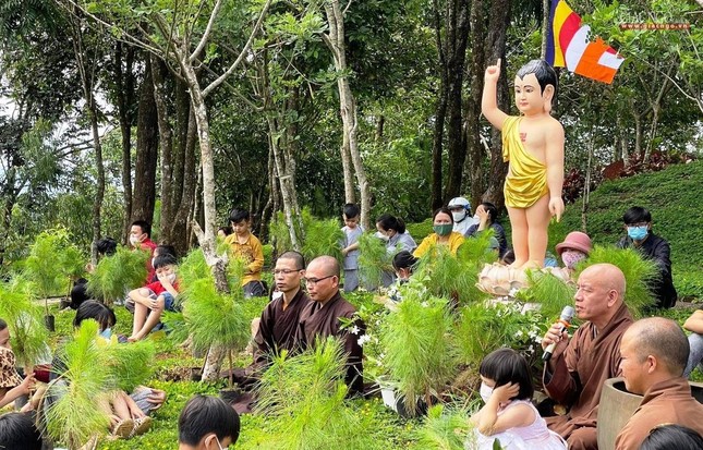 Hơn 100 em thiếu nhi trồng cây xanh mừng Phật đản ảnh 3