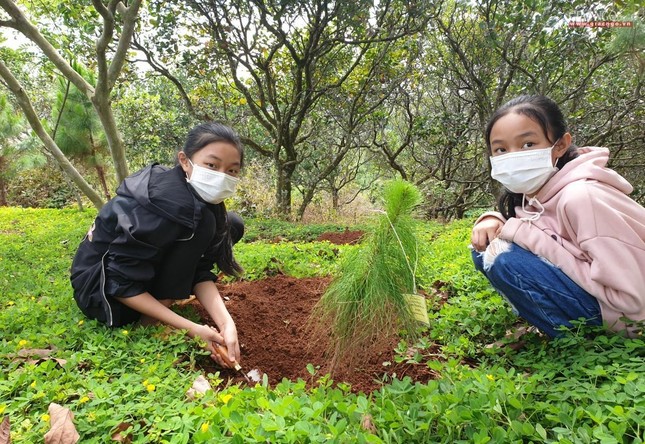 Hơn 100 em thiếu nhi trồng cây xanh mừng Phật đản ảnh 13
