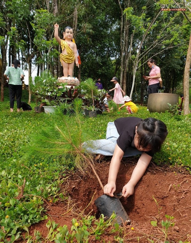 Hơn 100 em thiếu nhi trồng cây xanh mừng Phật đản ảnh 14