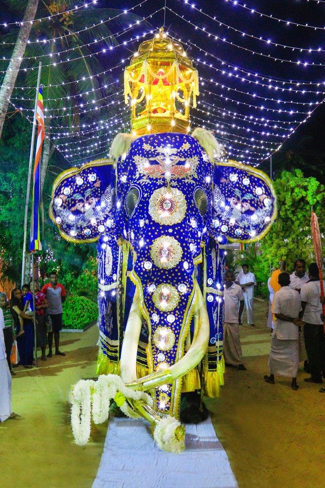 Sri Lanka: Tổ chức quốc tang cho voi thiêng rước xá-lợi răng Phật ảnh 1