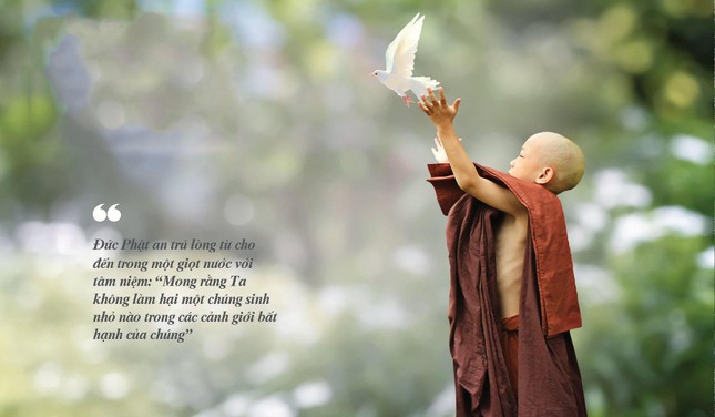 Thánh hạnh từ bi của Đức Phật ảnh 1