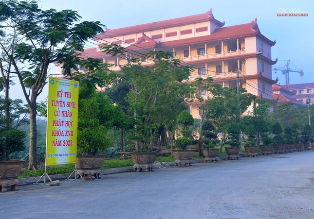 263 Tăng Ni dự thi tuyển vào khóa XVII Học viện Phật giáo VN tại TP.HCM  ảnh 14