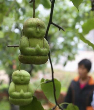 Lê hình đức Phật ở Trung Quốc ảnh 1