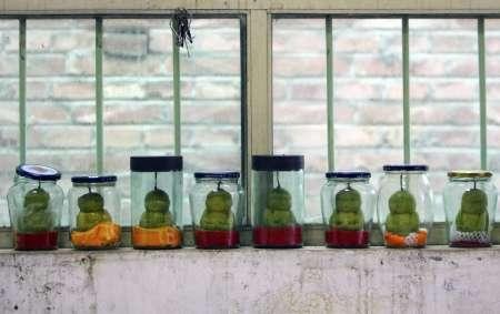 Lê hình đức Phật ở Trung Quốc ảnh 3