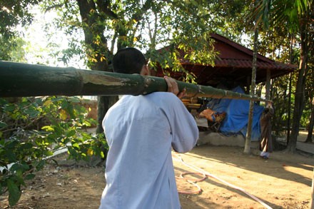 Xem lễ "dựng - hạ nêu” lớn nhất tại Huế ảnh 1