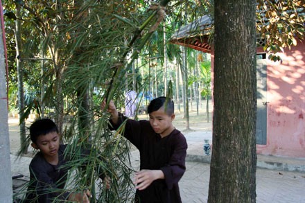 Xem lễ "dựng - hạ nêu” lớn nhất tại Huế ảnh 2