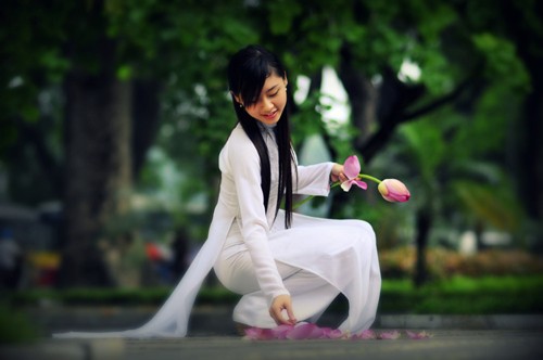 Thanh cao mùa sen Hà Thành ảnh 2