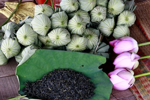Thanh cao mùa sen Hà Thành ảnh 12