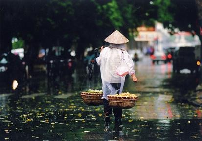 Mưa cố đô ảnh 1
