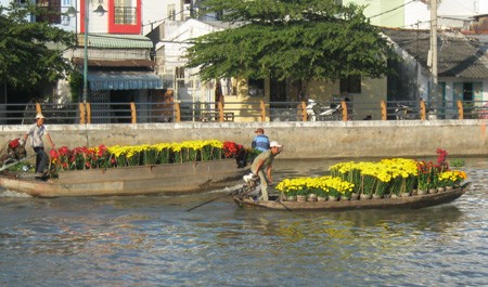 Đường đầy hoa, sông ngập hoa ảnh 10