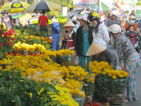 Đường đầy hoa, sông ngập hoa ảnh 11