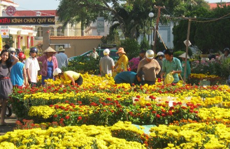 Đường đầy hoa, sông ngập hoa ảnh 14