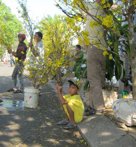 Đường đầy hoa, sông ngập hoa ảnh 15