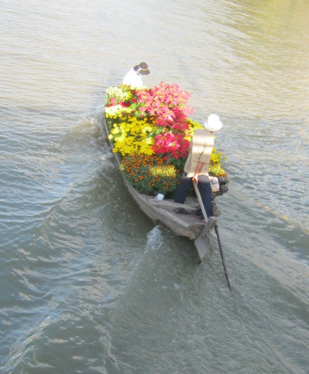 Đường đầy hoa, sông ngập hoa ảnh 2