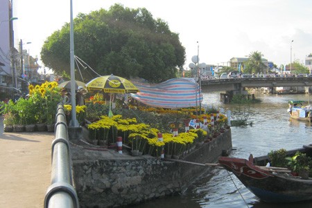 Đường đầy hoa, sông ngập hoa ảnh 3