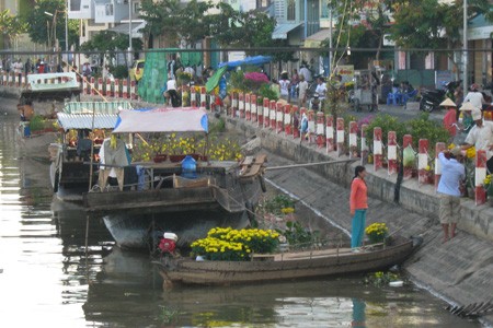 Đường đầy hoa, sông ngập hoa ảnh 5