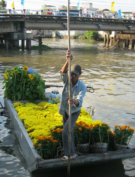 Đường đầy hoa, sông ngập hoa ảnh 8