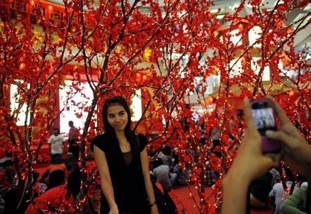 Người châu Á hân hoan đón mừng năm mới Nhâm Thìn-2012 ảnh 23