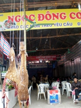 Trên 5 vạn lượt người đến chùa Hương ảnh 2