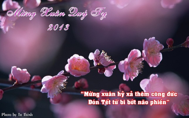 thiep xuan.jpg