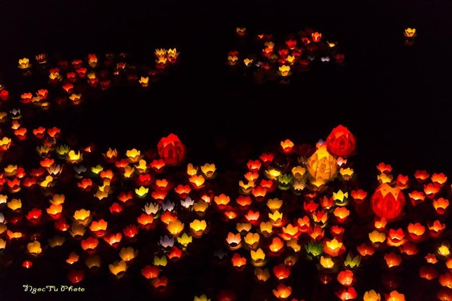 a hoa dang 2.jpg