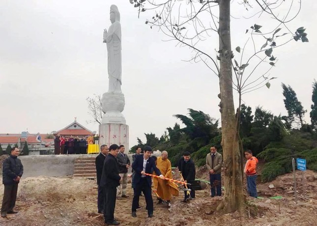 tet trong cay.jpg