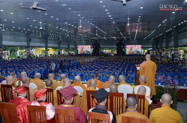 BTN_0181.jpg