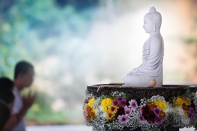 buddha-5686016_1280.jpg