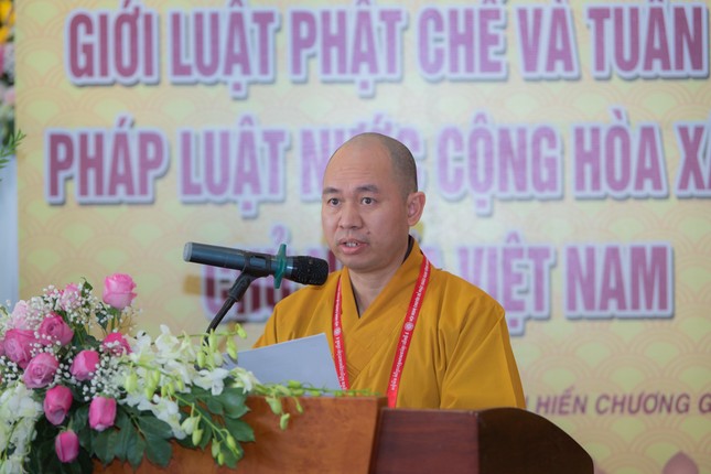 HUY_6768-3.jpg