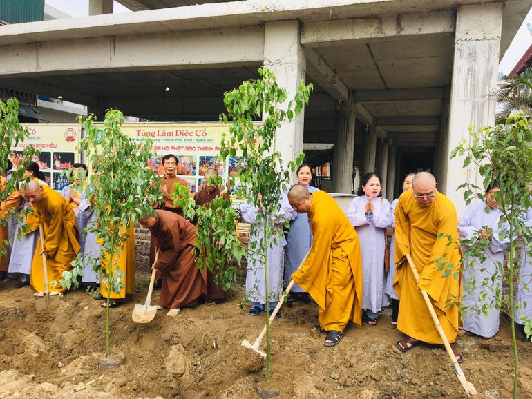 Chư Tăng trồng cây tại chùa Diệc (TP.Vinh, tỉnh Nghệ An)