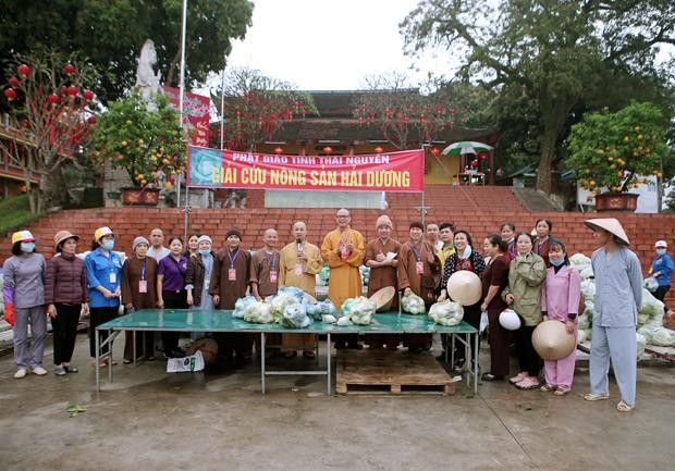 Phật giáo tỉnh Thái Nguyên cùng chung tay "giải cứu" nông sản tỉnh Hải Dương