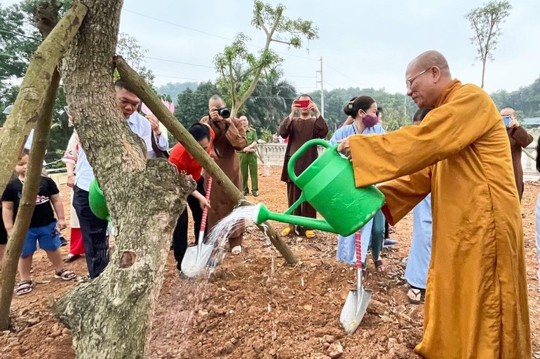 Chư tôn đức cùng Phật tử trồng cây trong khuôn viên Học viện