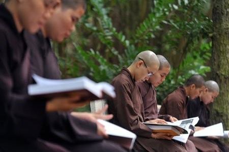 Chuyên cần học Phật - Ảnh minh họa