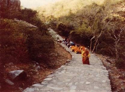 linhthu 1.jpg